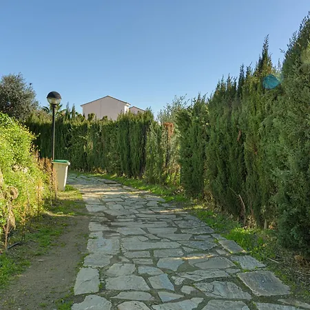 Wintowinrentals Boulevard Terrace * بينالماذينا